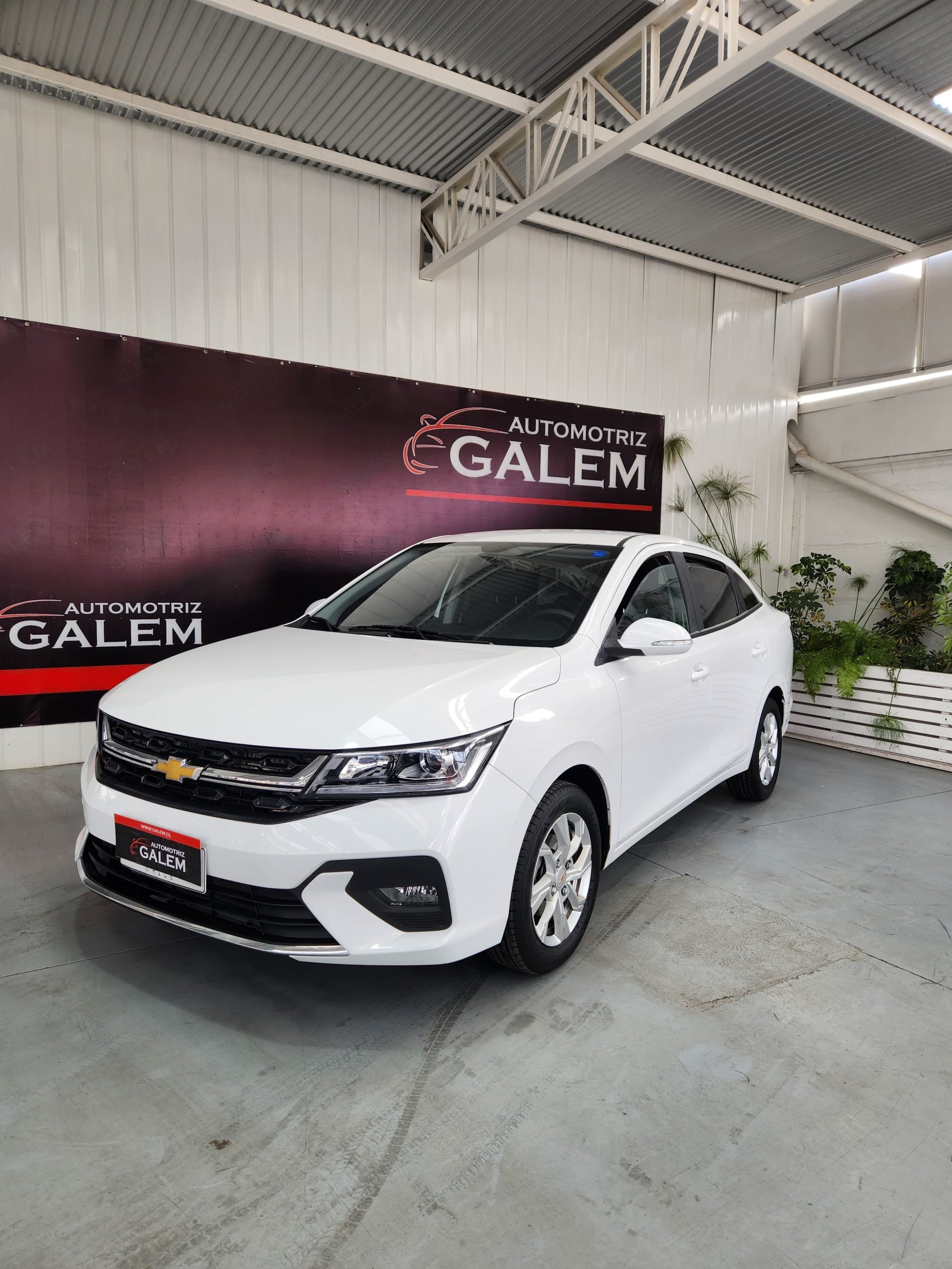 WhatsApp Image 2025-08-12 at 14.48.31 (1)