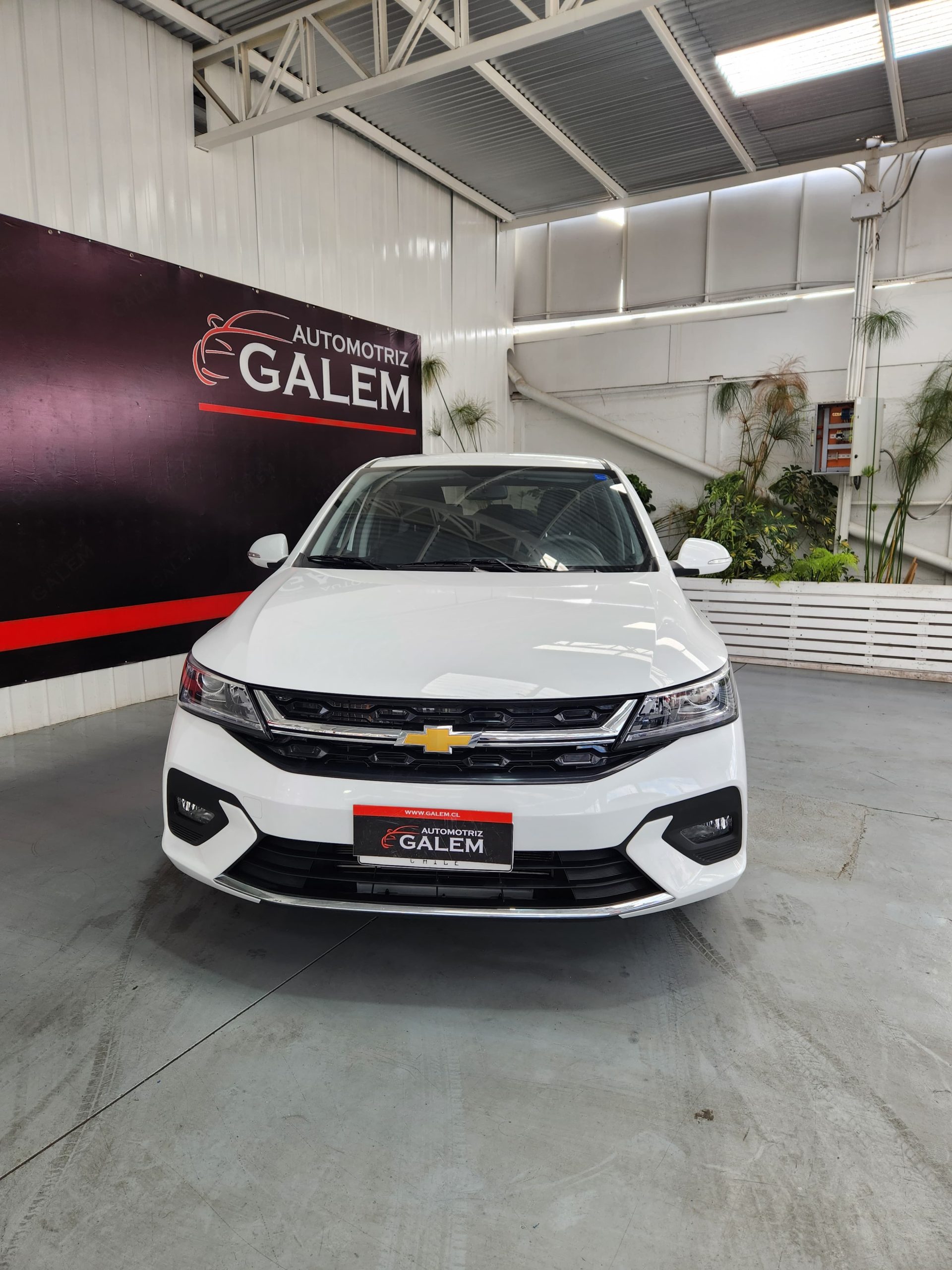 WhatsApp Image 2025-08-12 at 14.48.31