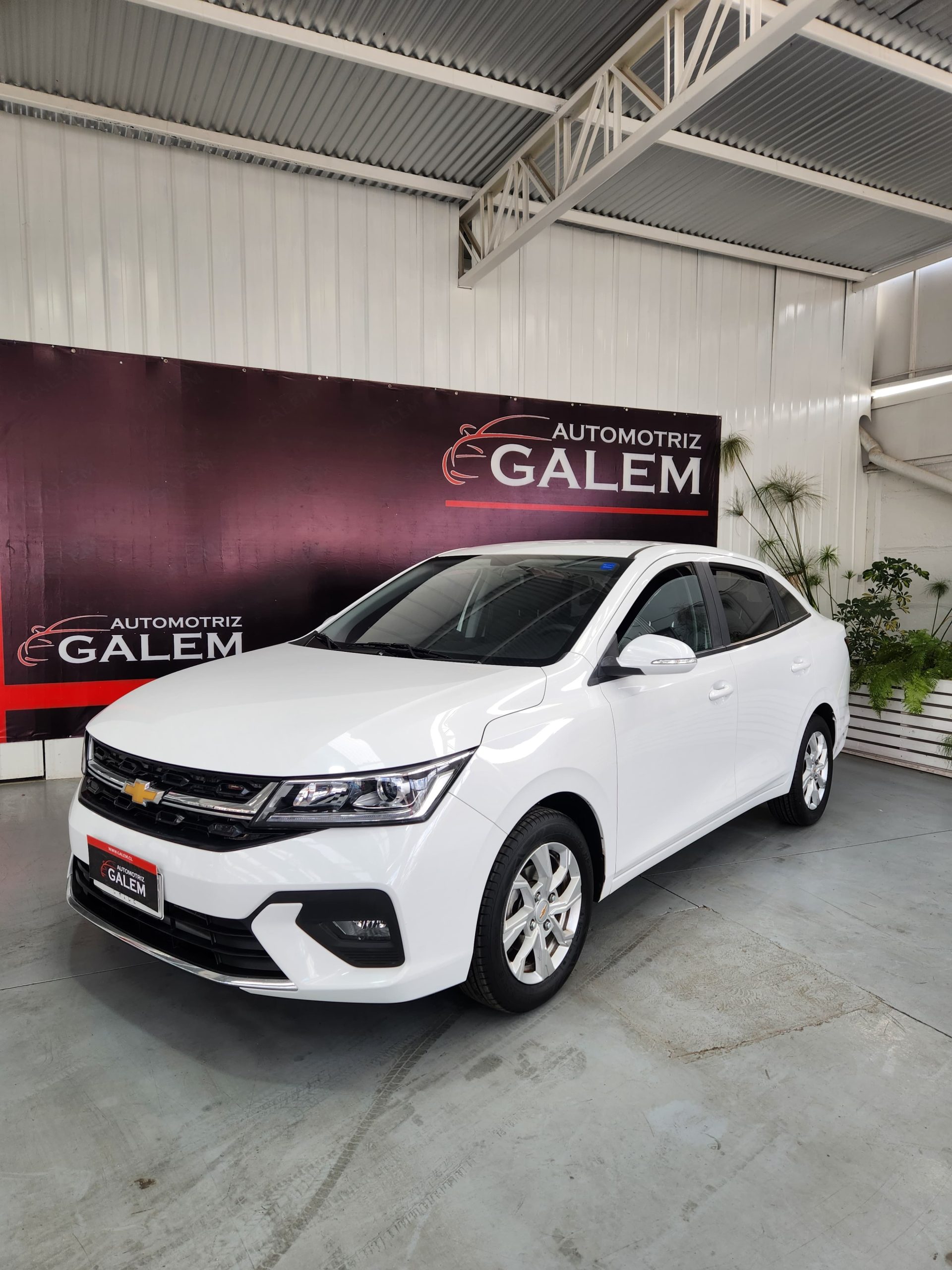 WhatsApp Image 2025-08-12 at 14.48.32