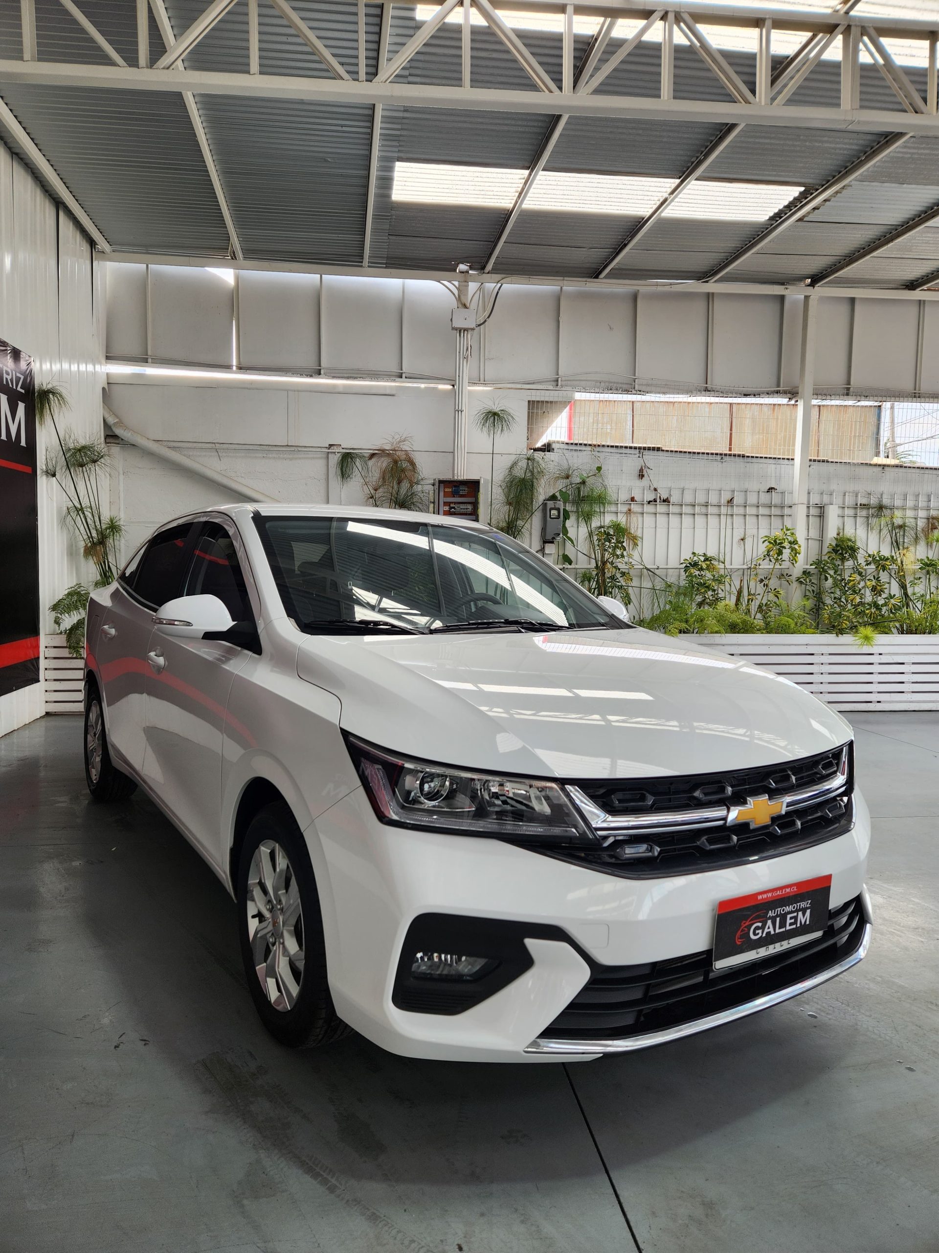 WhatsApp Image 2025-08-12 at 14.48.33