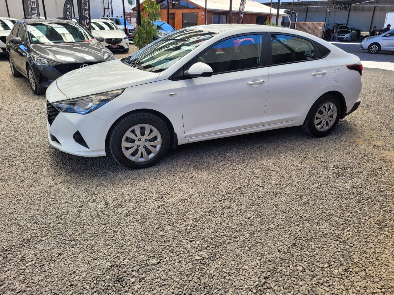 WhatsApp Image 2025-11-07 at 13.21.14 (1)