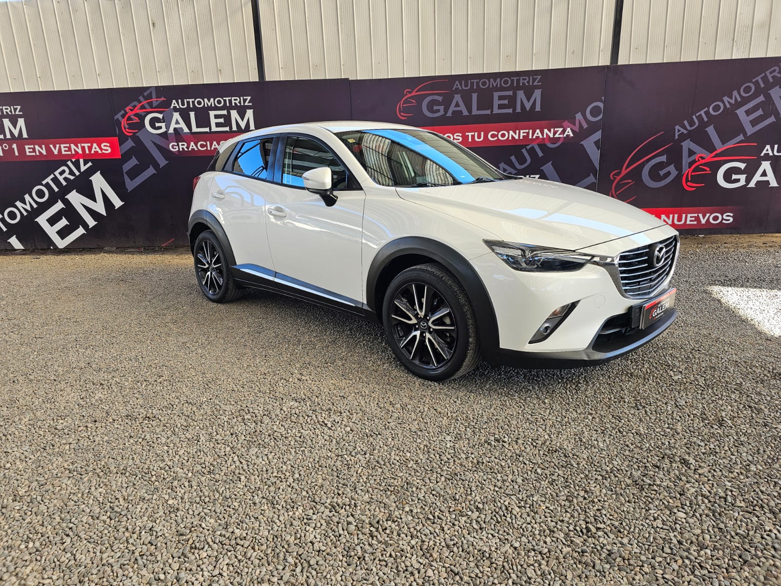 WhatsApp Image 2025-11-10 at 14.11.51 (1)