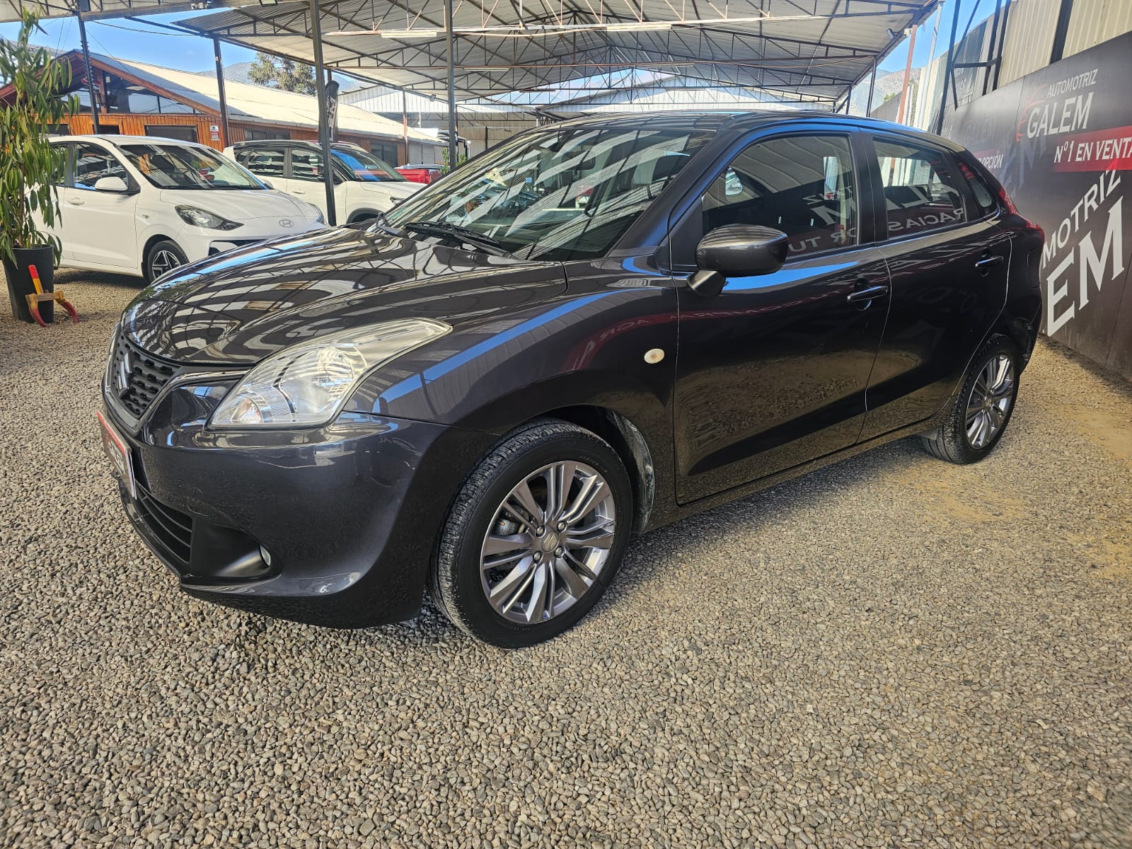 WhatsApp Image 2025-11-11 at 17.41.54 (1)